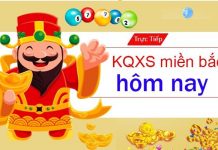 Update tính năng mới và thay đổi thống kê