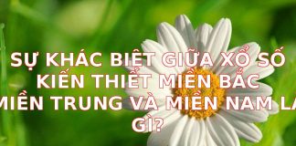 Sự Khác Biệt Giữa Xổ Số Kiến Thiết Miền Bắc, Miền Trung và Miền Nam: Bạn Đã Biết Hết?