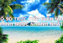 Xổ Số Trực Tiếp Miền Nam Minh Ngọc Nhanh Nhất: Cập Nhật Kết Quả Từng Giây