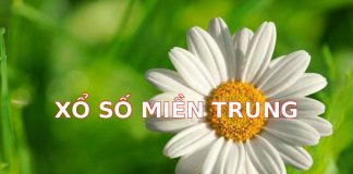 Xổ Số Miền Trung Hôm Nay: Cơ Hội Đổi Đời Mỗi Ngày Với Những Con Số May Mắn