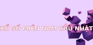 Xổ Số Miền Nam Chủ Nhật: Cơ Hội Đổi Đời Mỗi Tuần