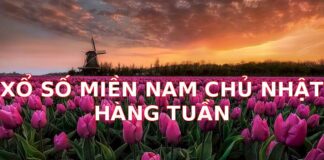 Xổ Số Miền Nam Chủ Nhật Hàng Tuần: Cơ Hội Đổi Đời Tại Các Tỉnh Thành Phía Nam
