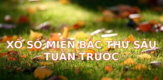 Xổ Số Miền Bắc Thứ Sáu Tuần Trước: Cập Nhật Kết Quả Nhanh Chóng và Chính Xác Nhất